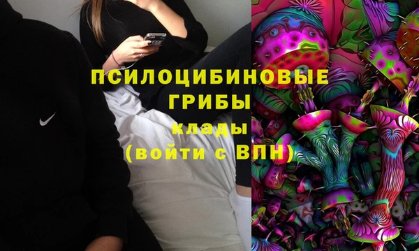 прущие крисы Нея