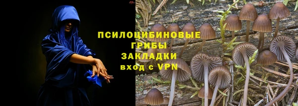 прущие крисы Нея