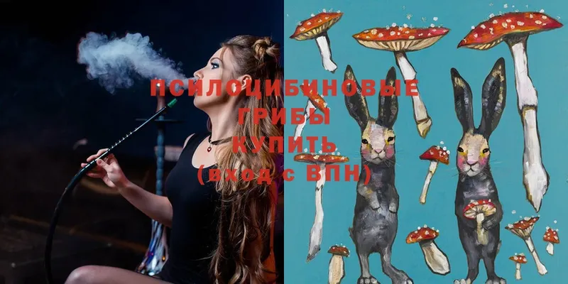 Галлюциногенные грибы MAGIC MUSHROOMS  Верхняя Салда 