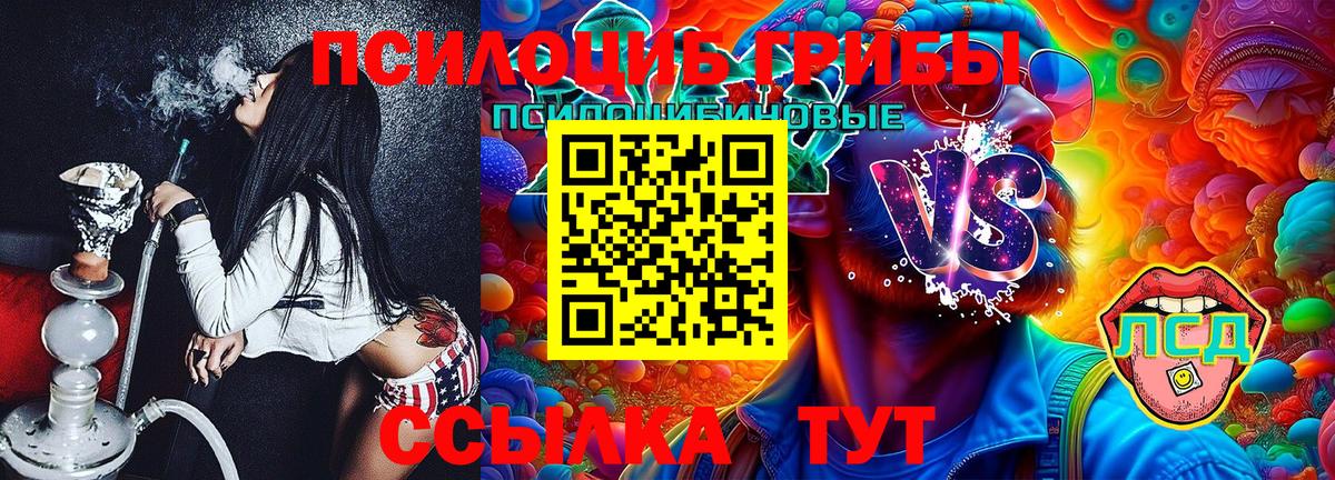 Галлюциногенные грибы мухоморы  Верхняя Салда 