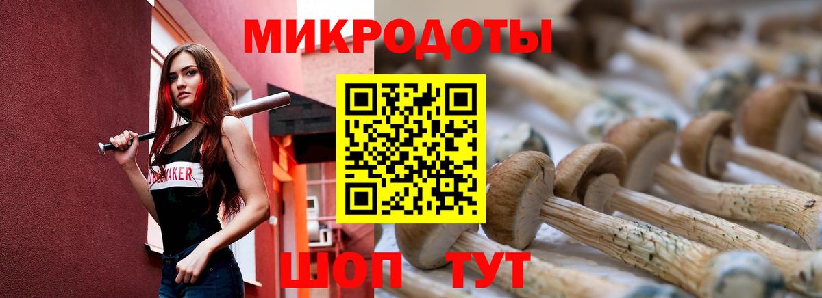 Галлюциногенные грибы Cubensis Верхняя Салда